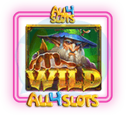 Magician's Secrets review