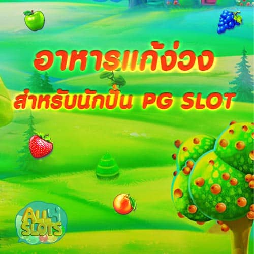 อาหารแก้ง่วง สำหรับนักปั่น PG SLOT